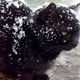 Image for article titled This Is The One Thing That People Never Understand About Cats